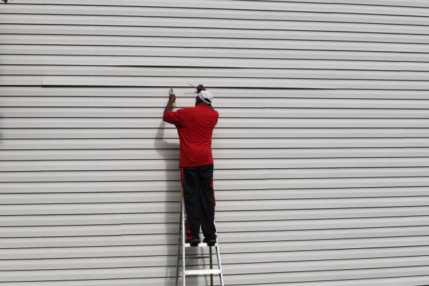 Professional Siding Installation & Repair in Dorneyville, PA